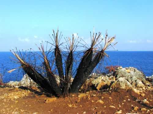 TREKKING IN SICILIA 2013